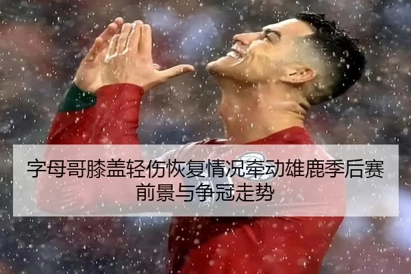 字母哥膝盖轻伤恢复情况牵动雄鹿季后赛前景与争冠走势