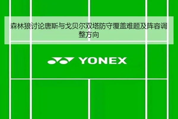 森林狼讨论唐斯与戈贝尔双塔防守覆盖难题及阵容调整方向