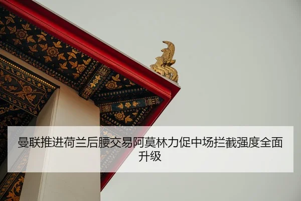 曼联推进荷兰后腰交易阿莫林力促中场拦截强度全面升级